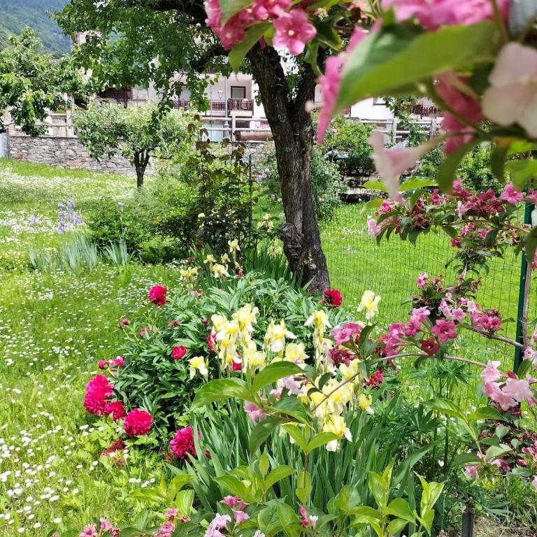 Appartamento Zeli e Old Alagna - Appartamento con 3 Camere da Letto - 20