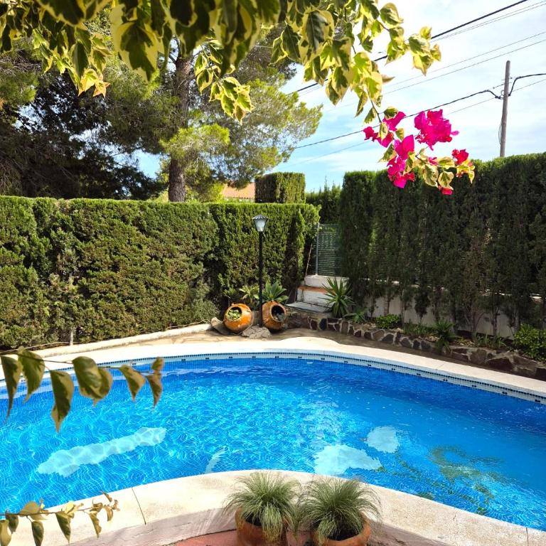 Casa Buganvilla - Villa - 15
