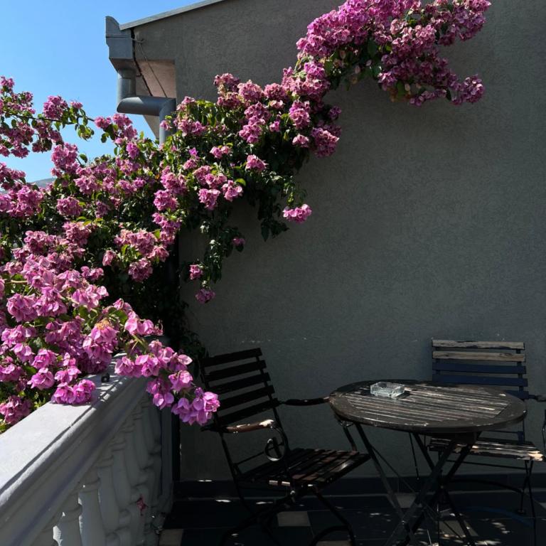 Apartment BellaVido Mostar - Two-Bedroom Apartment - 19