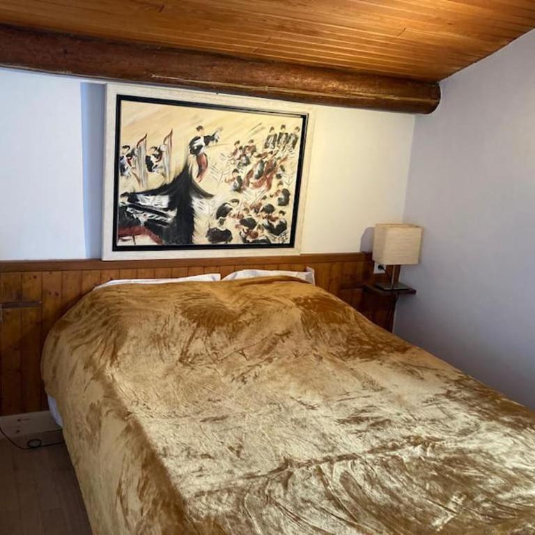 Chalet accueillant avec cheminée à 5 min du centre - Chalet 3 Chambres - 13