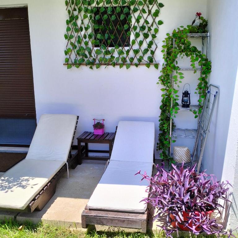 Olive apartment - Apartman sa Balkonom i Lepim Pogledom - 8
