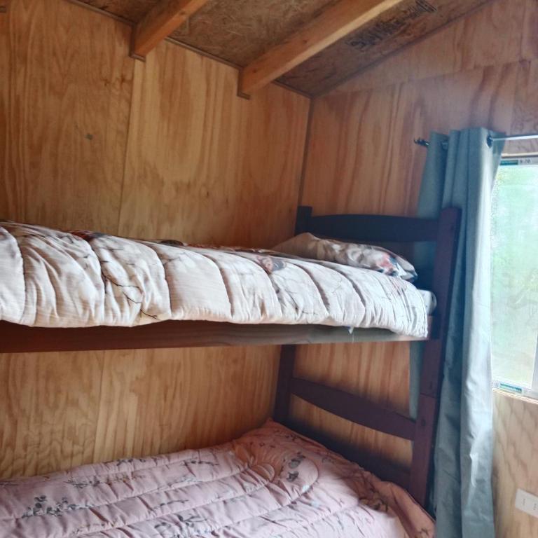Thor - Two-Bedroom Apartment - 5