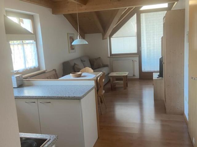 Kienasthof - One-Bedroom Apartment with Balcony - 6