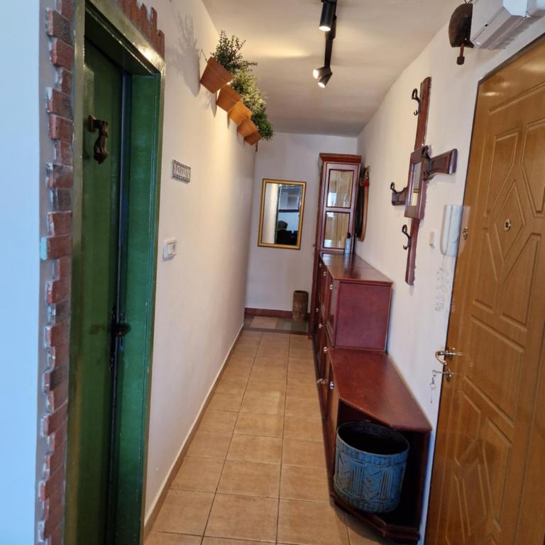 Traveller's Den - Apartman sa 2 Spavaće Sobe i Balkonom - 6