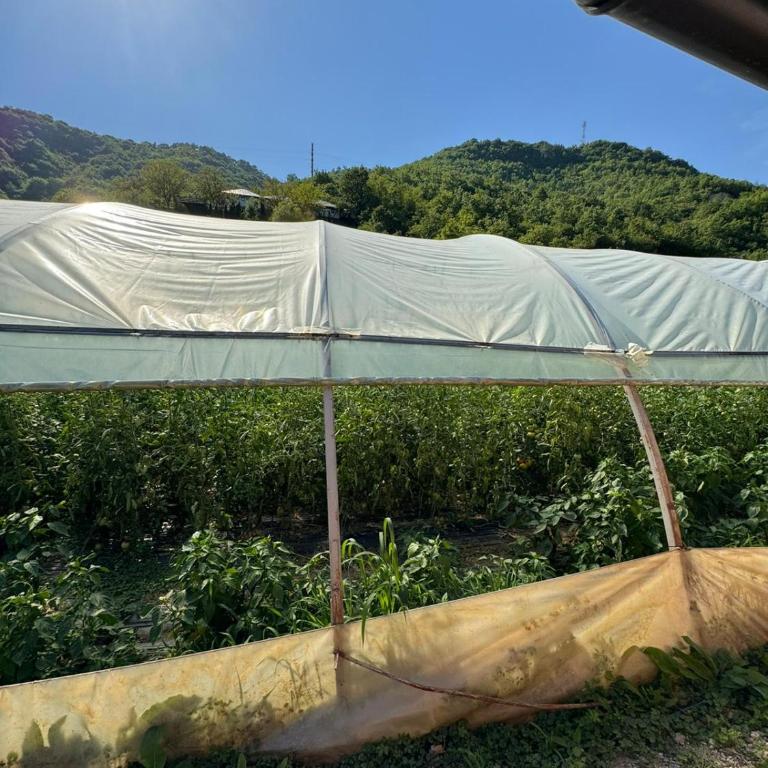 Dolce vita cottage - waterfront - Kuća sa 1 Spavaćom Sobom - 10