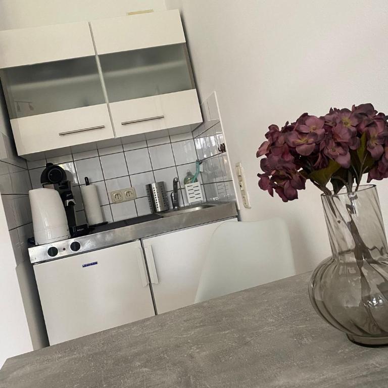 Charmante 1 Zimmerwohnung mit Stellplatz - Apartment mit 1 Schlafzimmer - 10