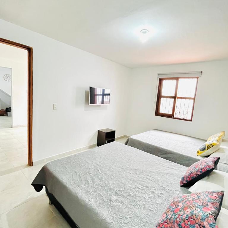 Apartamentos Villa Juliana Jardín - Apartamento Estándar de 3 dormitorios - 5