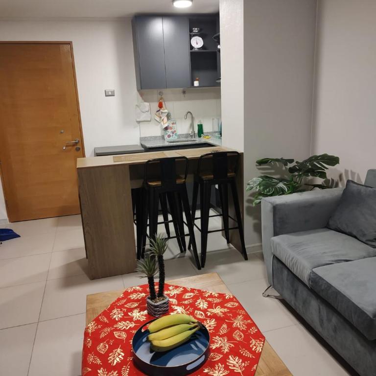 Departamento excelente en Santiago - Apartamento de 1 dormitorio - 1