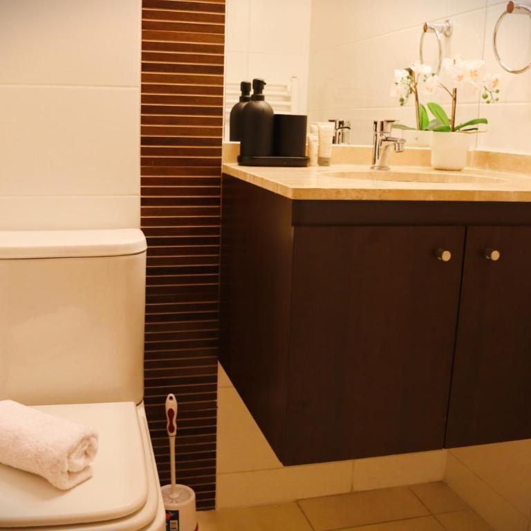 HOM I Edificio Valle Blanco Valle Nevado 2D2B SKI IN&OUT - Apartamento - 20