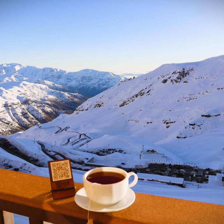 HOM I Edificio Valle Blanco Valle Nevado 2D2B SKI IN&OUT - Apartamento - 32