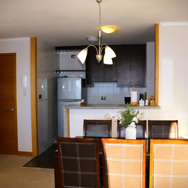 HOM I Edificio Valle Blanco Valle Nevado 2D2B SKI IN&OUT - Apartamento - 39