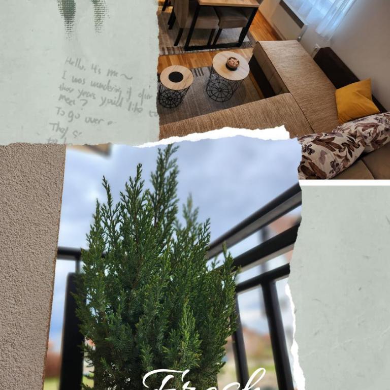 Apartman Stojanović Zlatibor - Apartman sa 1 Spavaćom Sobom - 6