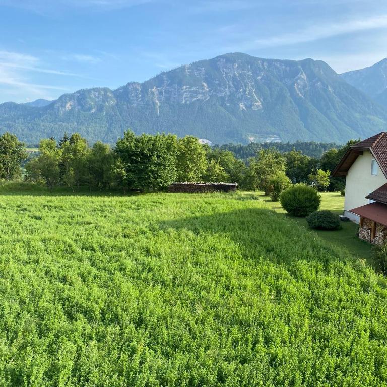 Luxe appartement met panoramisch bergzicht Zuid-Karinthië - Apartment mit 2 Schlafzimmern - 28