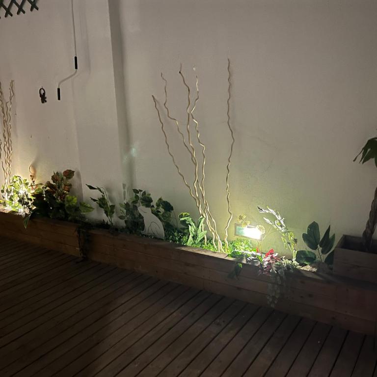 Mi Teja - Casa de 2 dormitorios - 1