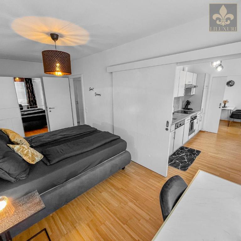 Apartment in Uni - & LKH Nähe - Apartment mit 1 Schlafzimmer - 3