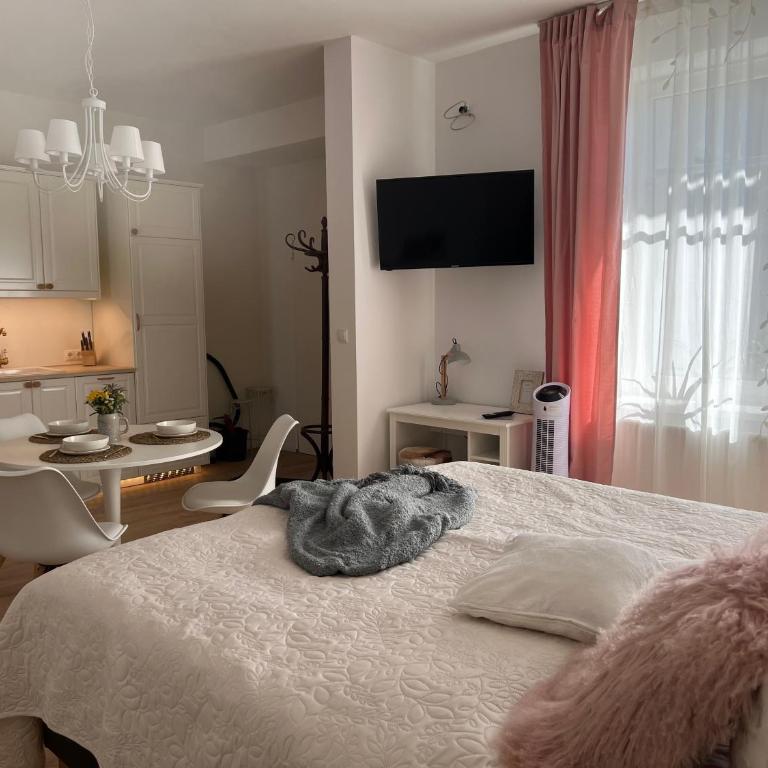 Die "Boho Suite" im Herzen von Hartberg, free Parking - Deluxe Studio - 20