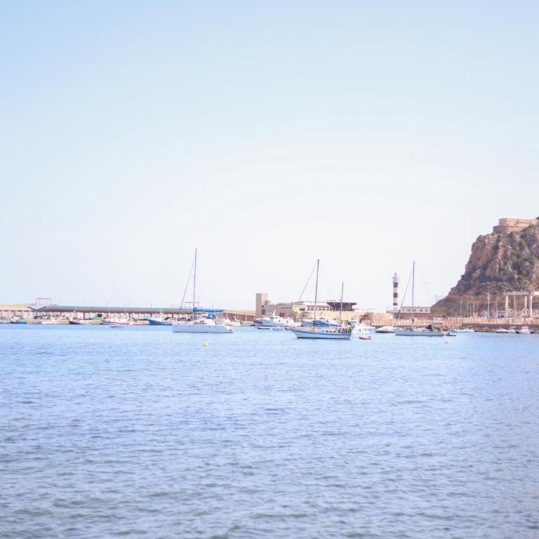 Apartamentos Luna de Águilas - Apartamento de 2 dormitorios - 72