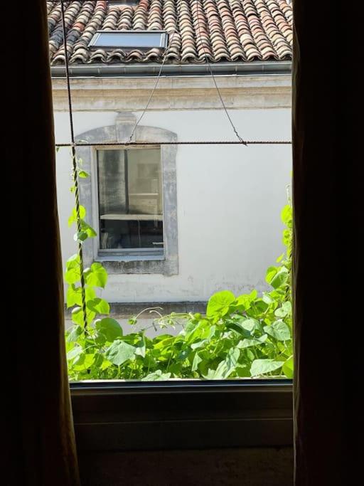 Le Cocon, T3 centre ville, climatisé - Apartment mit 2 Schlafzimmern - 14