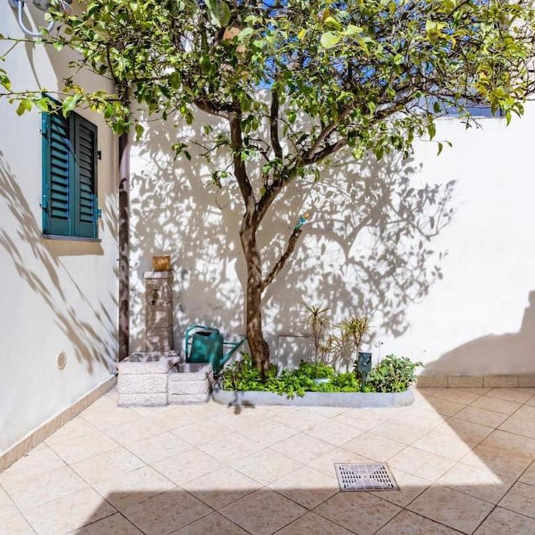 Villette Singola Versilia WIFI AC - Casa con 2 Camere da Letto - 8