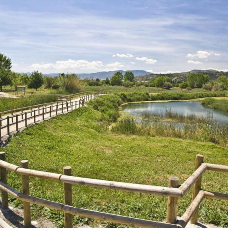 Estilosa casa en playa de Gandia - Apartamento - 21