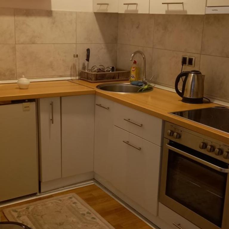 Bulevar 279C - Apartman sa 1 Spavaćom Sobom - 7