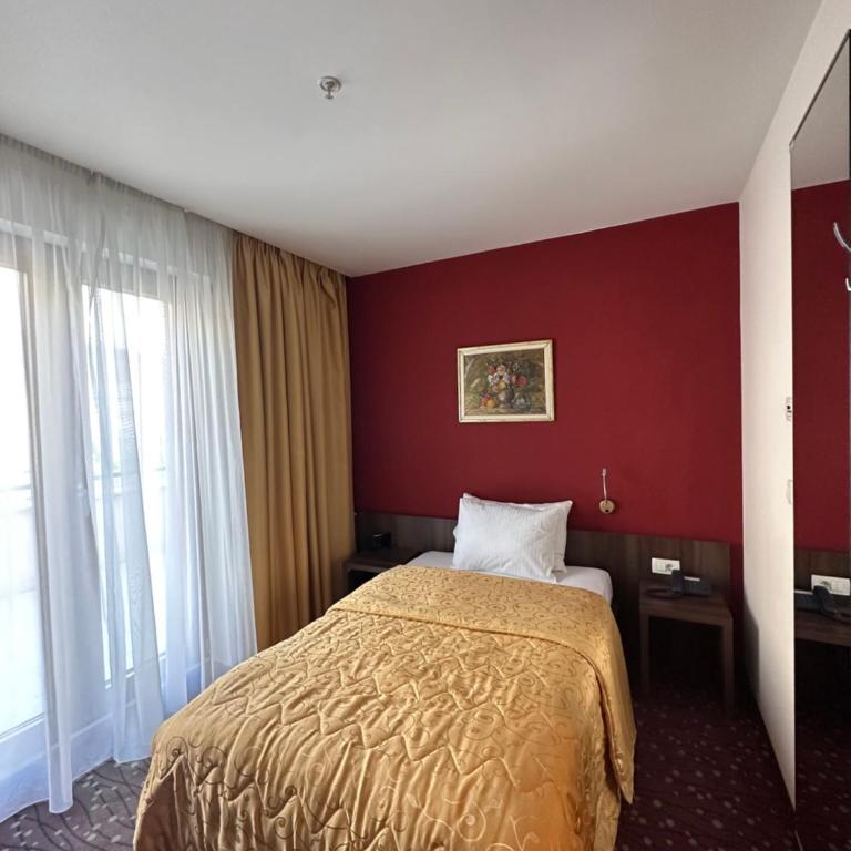 Hotel Pine - Single Room with Mountain View - 3