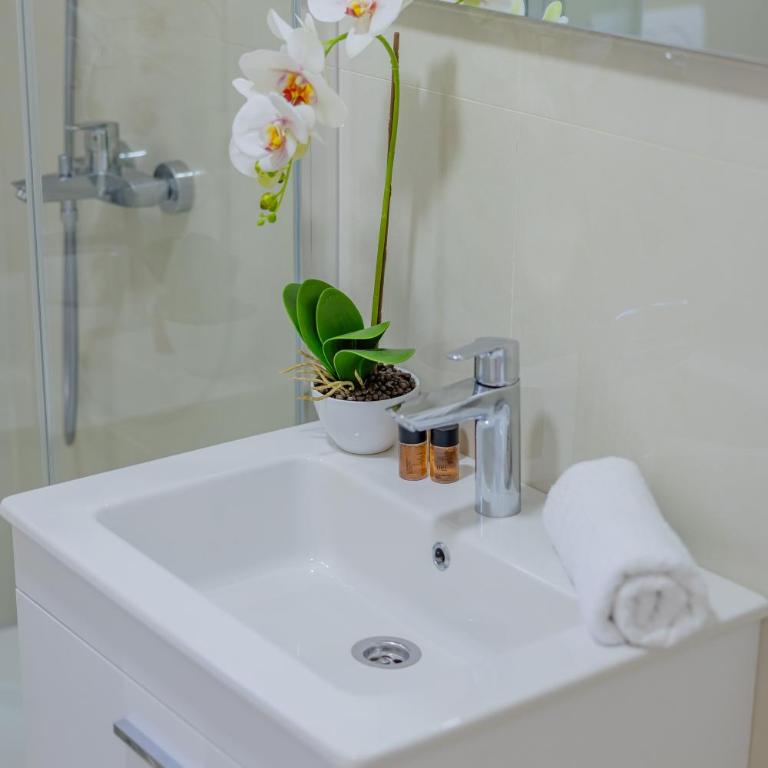 Bliss Apartments - Deluks Studio sa Bračnim Krevetom (King-size) - 4