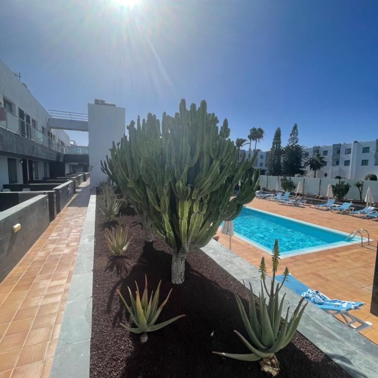 Sunrise Corralejo - One-Bedroom Apartment - 29