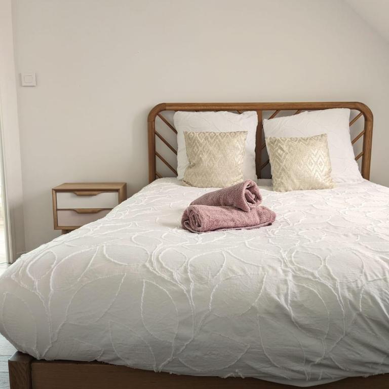 Berbisey 3 - Appartement 1 Chambre - 13
