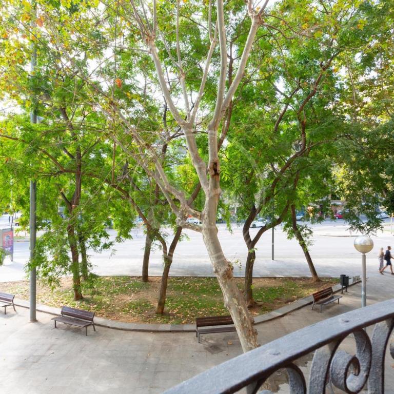 Cozy apartment near Sagrada Familia - One-Bedroom Apartment - 17