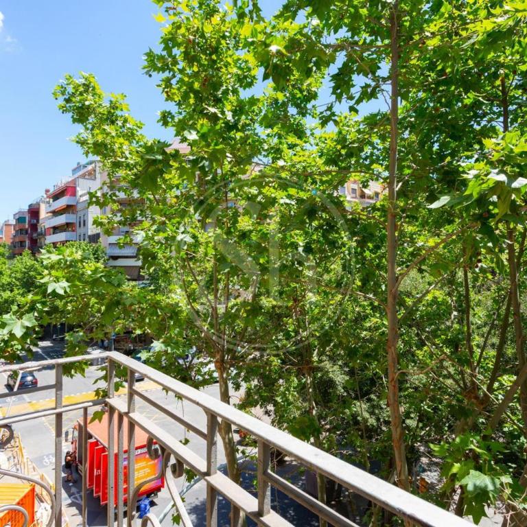 Apartamento cerca de Sagrada Familia - Three-Bedroom Apartment - 26