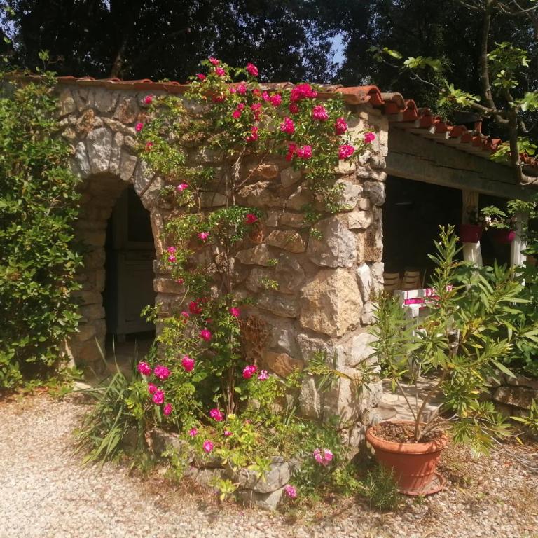 Villa Le Niaouli - Maison 3 Chambres - 21