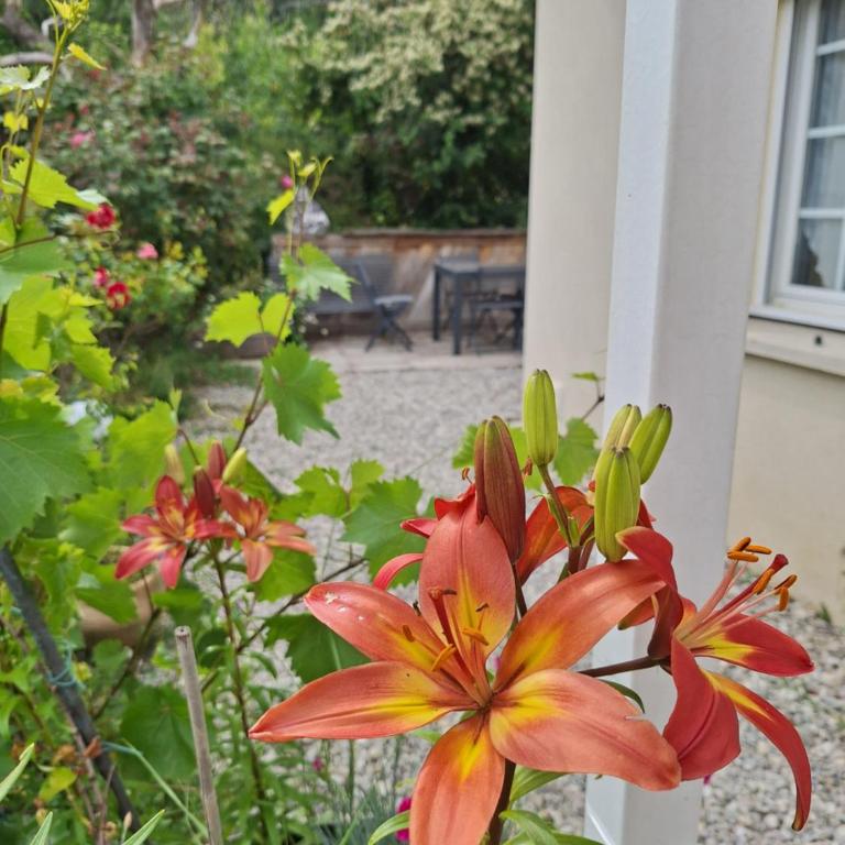 Le boisnheur - Duplex Apartment - 11