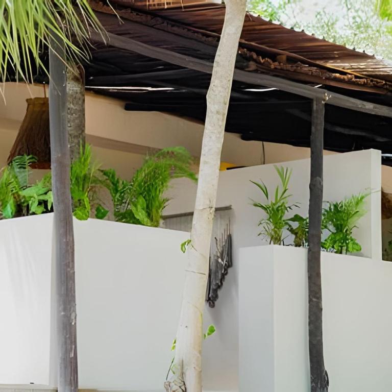 Nómadas Bacalar- Departamentos - - Apartamento con ducha - 18