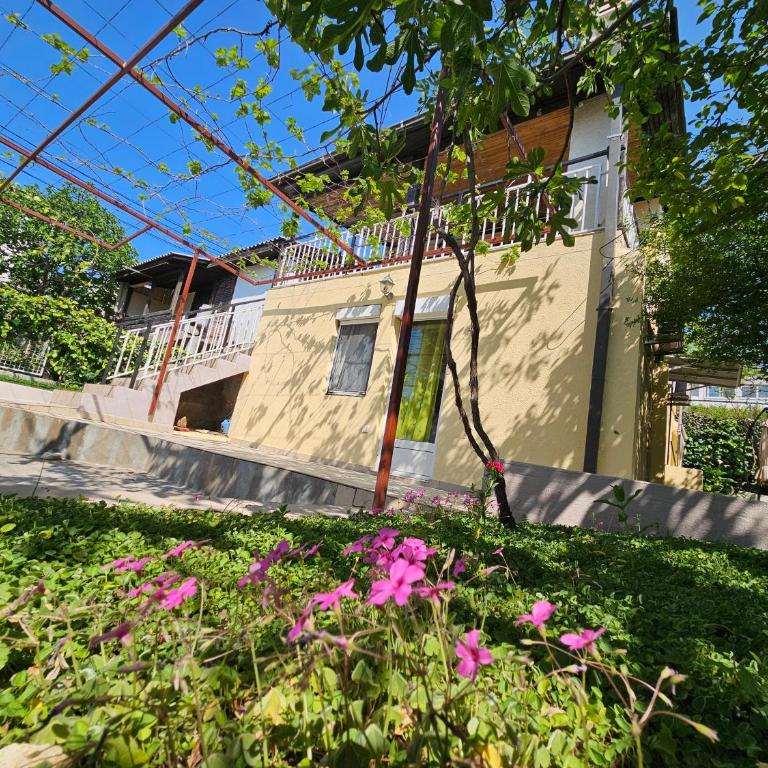 Montebar1 - One-Bedroom House - 4