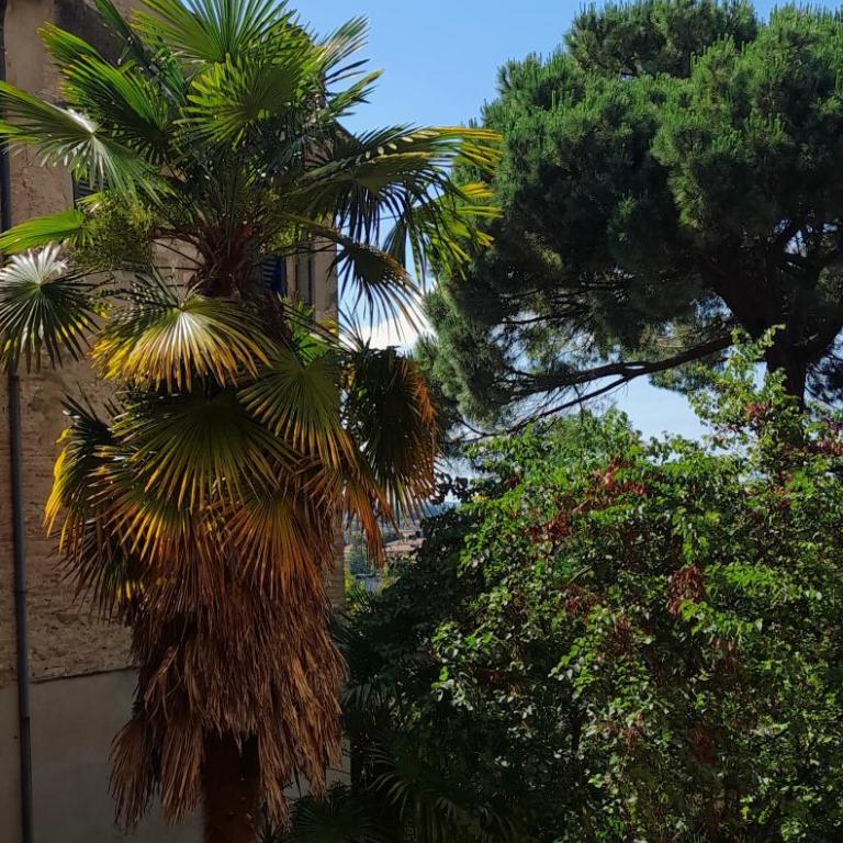 La Loggetta di Stalloreggi - Appartamento con 3 Camere da Letto - 9