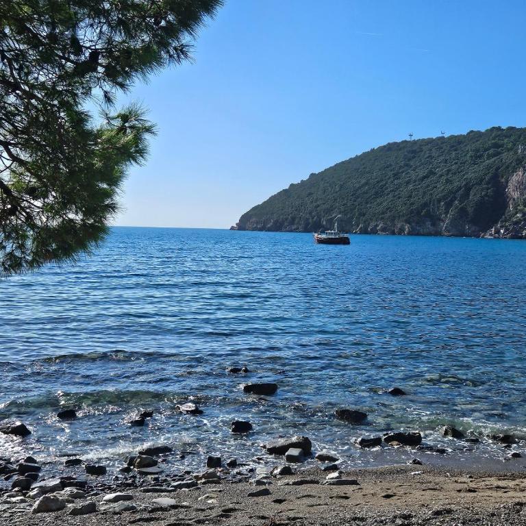 Montebar1 - Kuća sa 1 Spavaćom Sobom - 17