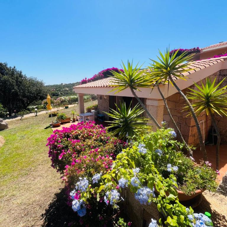 La Casa del Mirto - Camera King con Vista Mare - 16