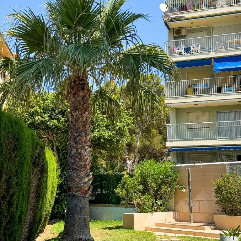 Mediterráneo Paradise - Apartamento de 2 dormitorios con terraza y vistas al mar - 43