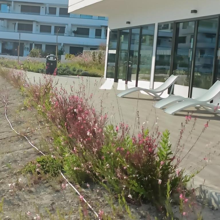 Sun And Beach - Apartamento de 2 dormitorios - 32