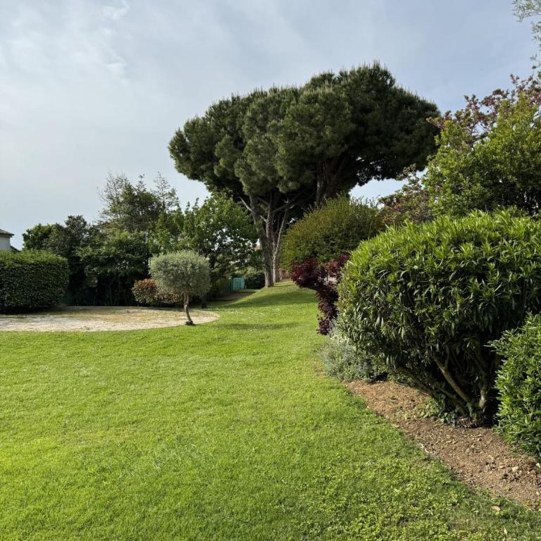 Superb apartment in provenzal residence with pool - Apartment mit 1 Schlafzimmer - 17