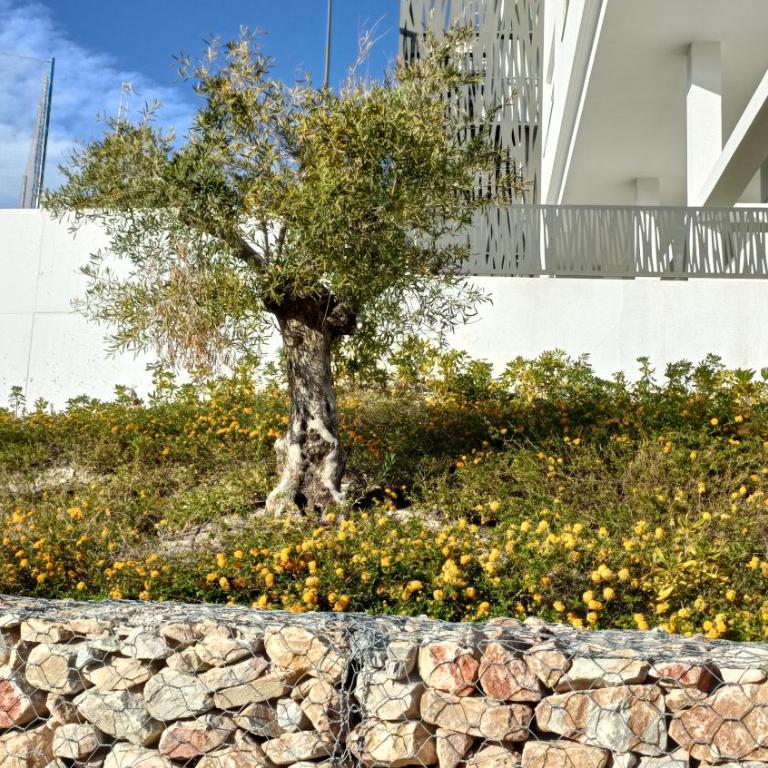 Sun And Beach - Apartamento de 2 dormitorios - 36