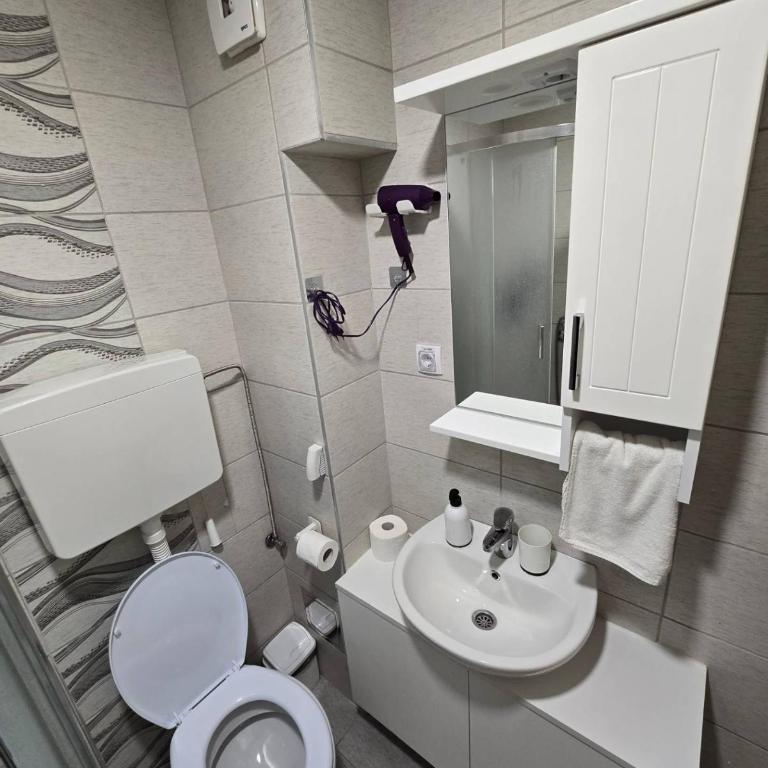 Apartman Muzika Jagodina - Deluks Apartman - 19