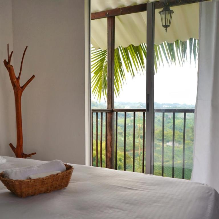 Hospedaje Mirador La Aurora Filandia - Suite - 15