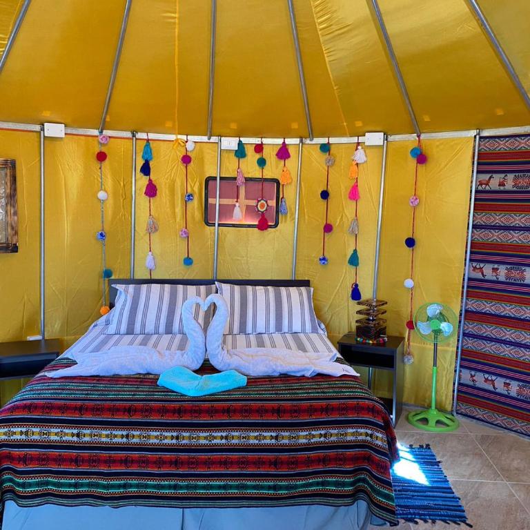 Altos de Quitor, Glamping - Yurta Estándar - 9