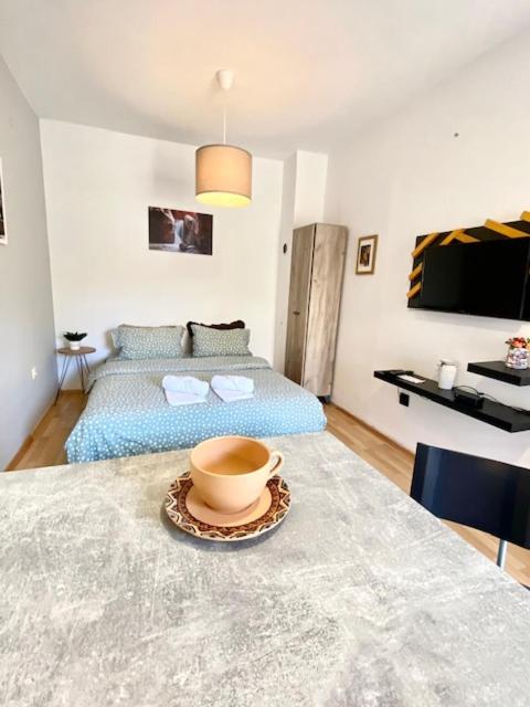 Modern Studio Apatment,Belgrade - Apartman sa 1 Spavaćom Sobom - 8