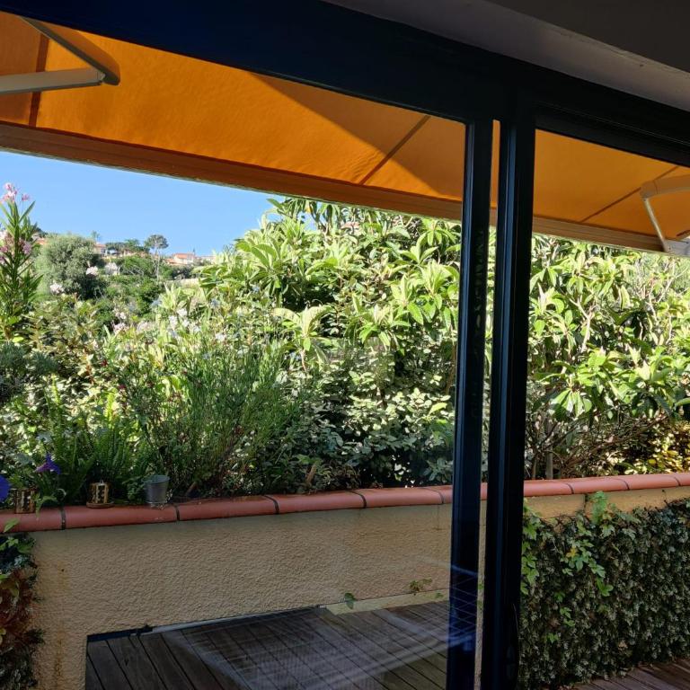 Appartement les Rocades Collioure - Apartment mit 1 Schlafzimmer - 8