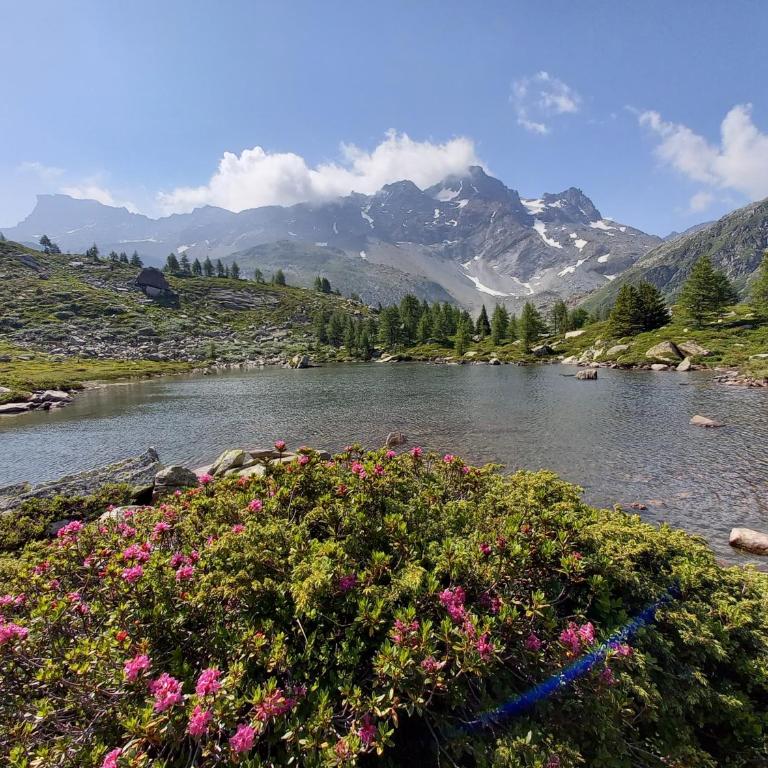 Wohnung mit schöner Sicht auf Bergpanorama und übers Tal - Apartment mit 1 Schlafzimmer - 31