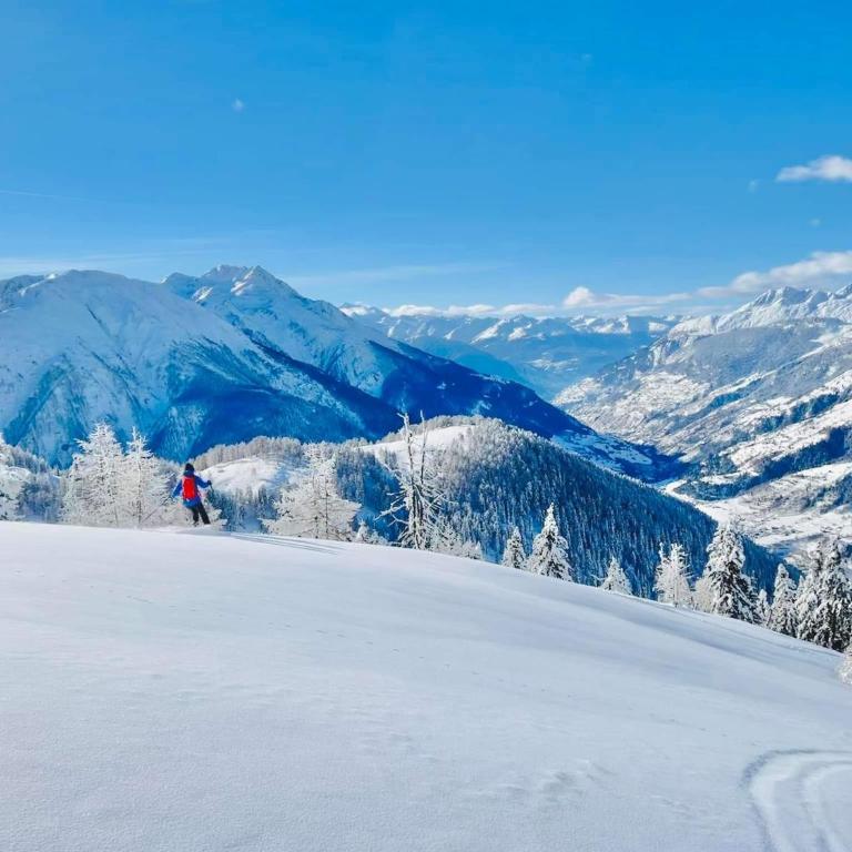 Wohnung mit schöner Sicht auf Bergpanorama und übers Tal - Apartment mit 1 Schlafzimmer - 46