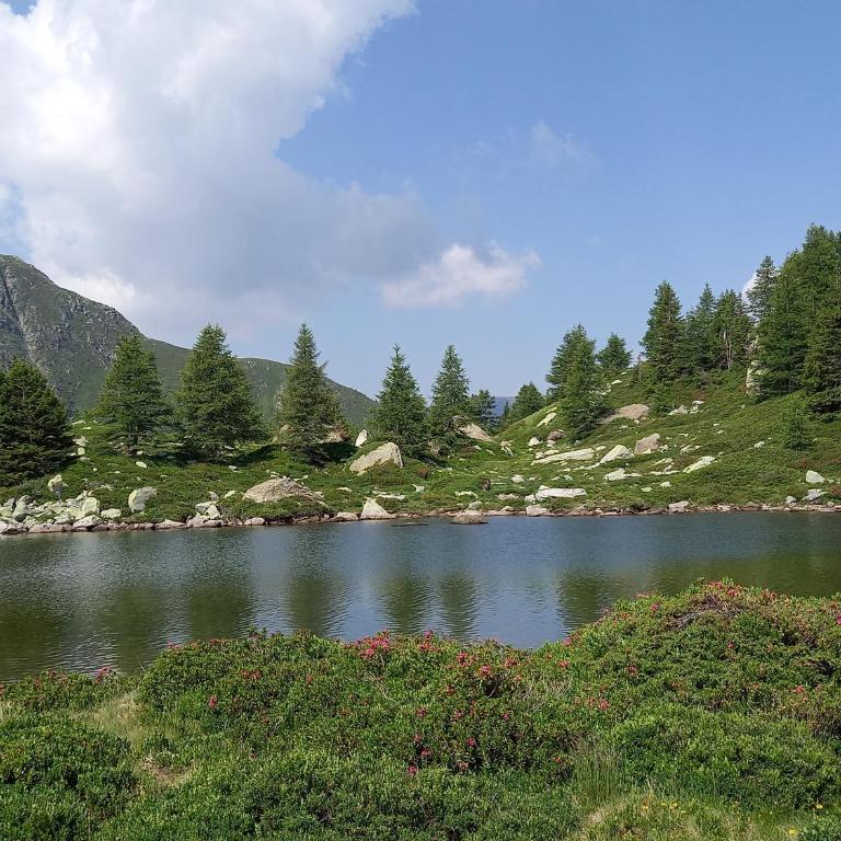 Wohnung mit schöner Sicht auf Bergpanorama und übers Tal - Apartment mit 1 Schlafzimmer - 35